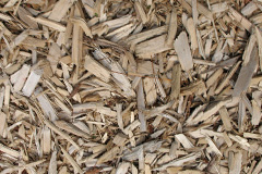 biomass boilers Cloddymoss